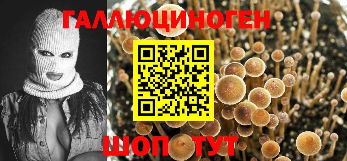 Псилоцибиновые грибы Cubensis  Вход с VPN  Псилоцибиновые грибы Magic Shrooms  Аргун 