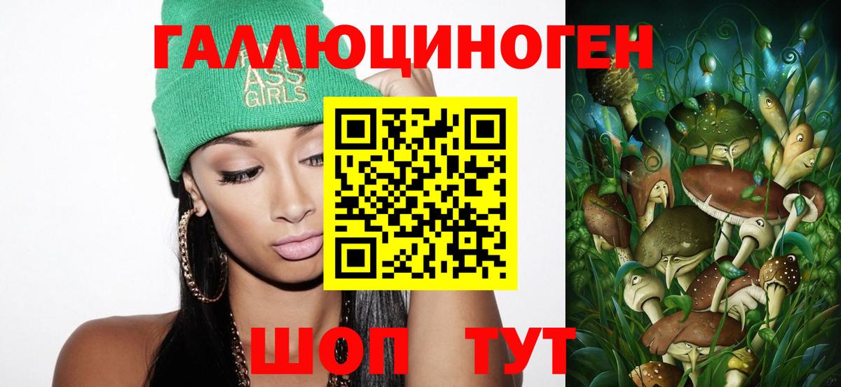 Галлюциногенные грибы Psilocybe Аргун